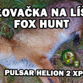 Ulovenia líšky