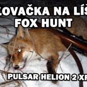 Ulovenie líšiaka v dobe párenia