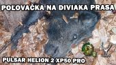 Poľovačka na diviaka