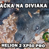 Poľovačka na diviaka