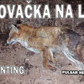 Spiaca prašivka