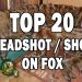 TOP 20 headshot red fox