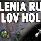 Jelenia ruja a lov