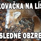 Poľovačka na líšku posledné obzretie