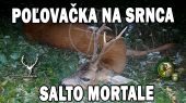 Poľovačka na srnca- salto mortale