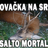 Poľovačka na srnca- salto mortale