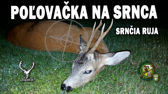 Poľovačka na srnca srnčia ruja