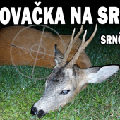 Poľovačka na srnca srnčia ruja
