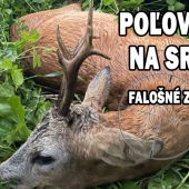 Falošná láska