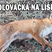 Poľovačka na líšku