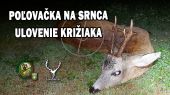 Poľovačka na srnca-ulovenie križiaka