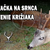 Poľovačka na srnca-ulovenie križiaka