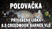 Privábená líška vs 6,5 creedmoor Barnes VLD