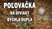 Rýchla dupla