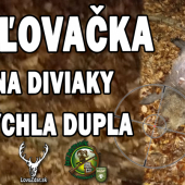 Rýchla dupla
