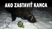 Keď chceš zastaviť kanca -zbrechni