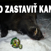 Keď chceš zastaviť kanca -zbrechni