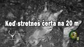 Keď stretneš čerta na 20m