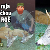 Srnčia ruja S vábničkou Nordik ROE