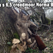 Poľovačka s 6,5 creedmoor Norma Bondstrike