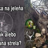 Poľovačka na jeleňa Zázrak alebo navádzaná strela?