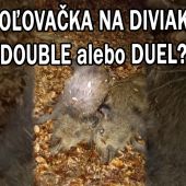 Double alebo duet?
