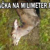 Na milimetre