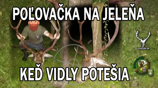 Keď vidly potešia poľovačka na jeleňa