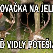 Keď vidly potešia poľovačka na jeleňa