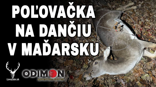 Poľovačkana dančiu v Maďarsku