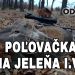Poľovačka na jeleňa 1Vt.