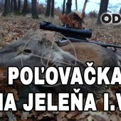 Poľovačka na jeleňa 1Vt.