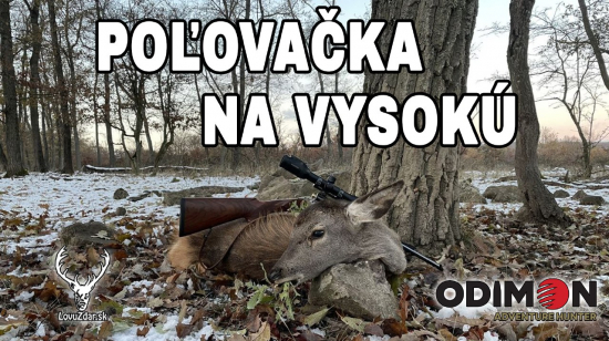 Poľovačka na vysokú