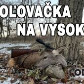 Poľovačka na vysokú