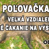 VEĽKÁ VZDIALENOSŤ- DLHÉ ČAKANIE NA VÝSTREL