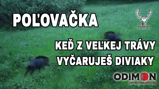 KEĎ Z VEĽKEJ TRÁVY VYČARUJEŠ DIVIAKY