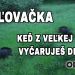 KEĎ Z VEĽKEJ TRÁVY VYČARUJEŠ DIVIAKY