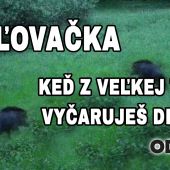 KEĎ Z VEĽKEJ TRÁVY VYČARUJEŠ DIVIAKY