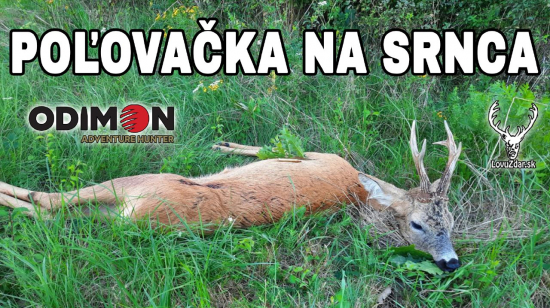 Poľovačka na srnca 3 v.t