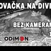 POĽOVAČKA NA- DIVIAKA BEZ KAMERAMANA 149 m