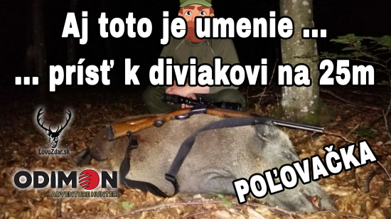 Aj toto je`umenie . . prísť k diviakovi na 25m
