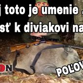 Aj toto je`umenie . . prísť k diviakovi na 25m