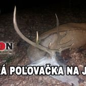 Horská poľovačka na jeleňa