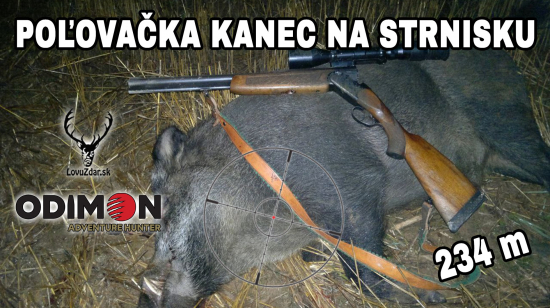 Poľovačka kanec na strnisko 234m