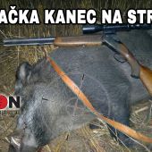 Poľovačka kanec na strnisko 234m