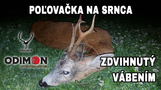 Poľovačka na srnca- zdvihnutý vábením