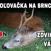 Poľovačka na srnca- zdvihnutý vábením