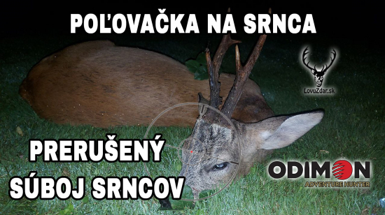 Prerušený súboj