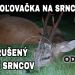 Prerušený súboj
