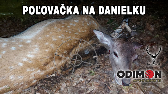 Poľovačka na danielku